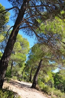 General Information Sierra Espuña