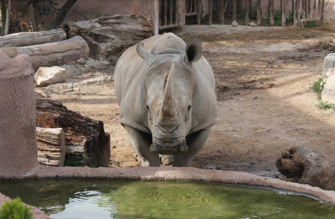 Terra Natura Murcia wildlife and water park