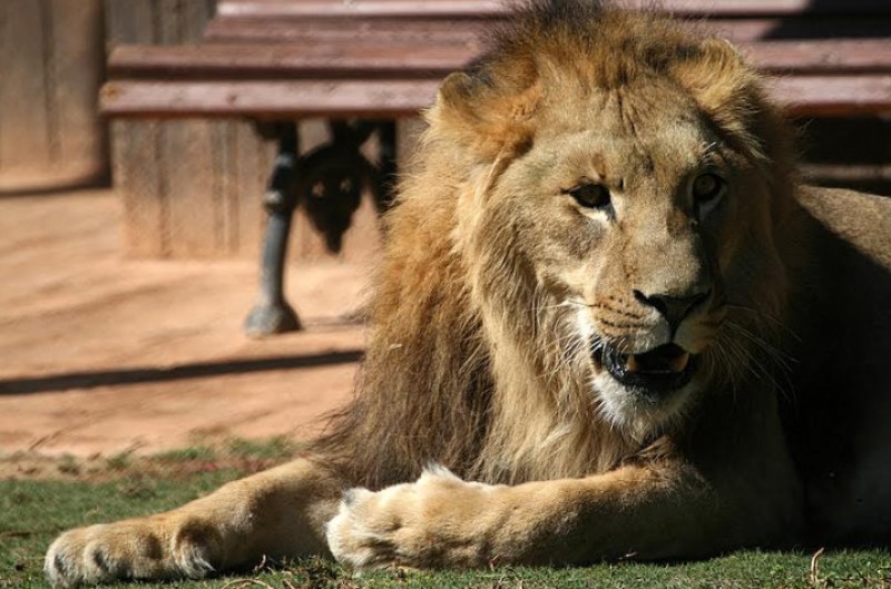 Terra Natura Murcia wildlife and water park