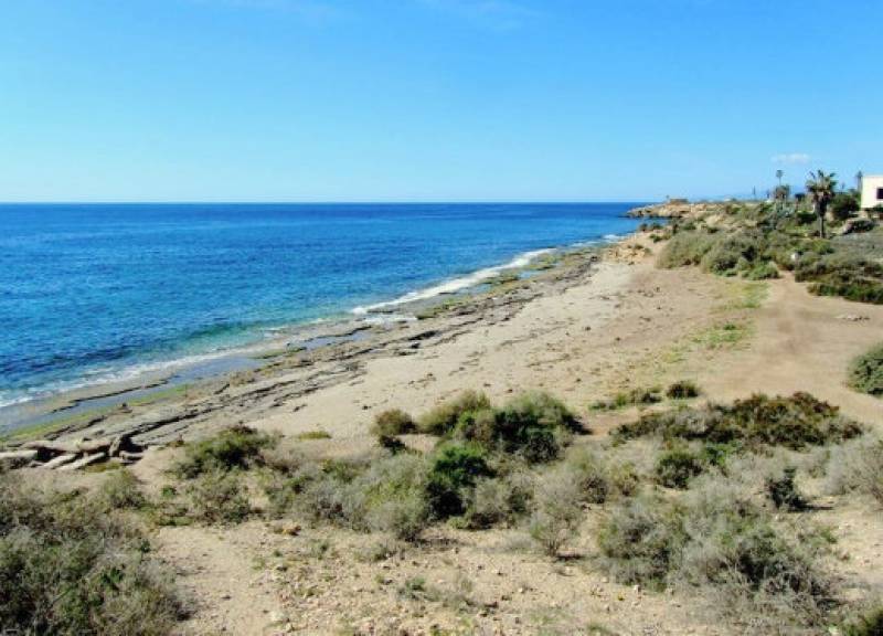 8 dog-friendly beaches in the Region of Murcia