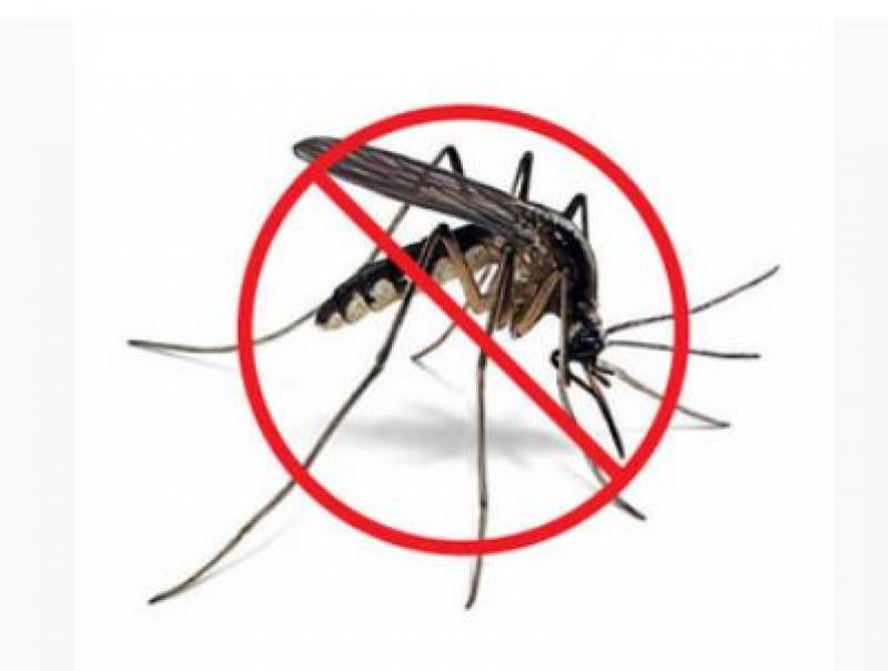 Mosquito spraying scheduled in Mar Menor Golf Resort on this date in May