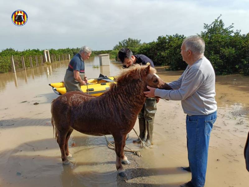 Spain's storm of the century: How it happened and what went so wrong