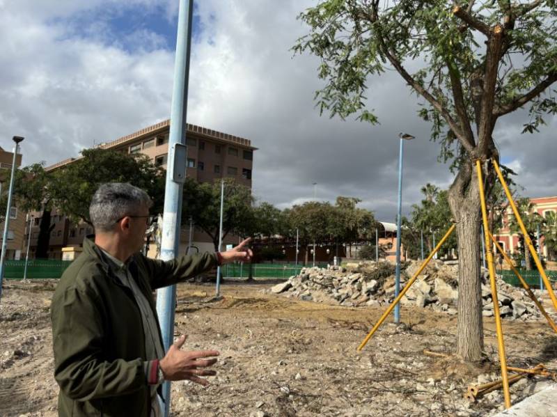 Águilas makes changes to trees in Plaza de la Estación