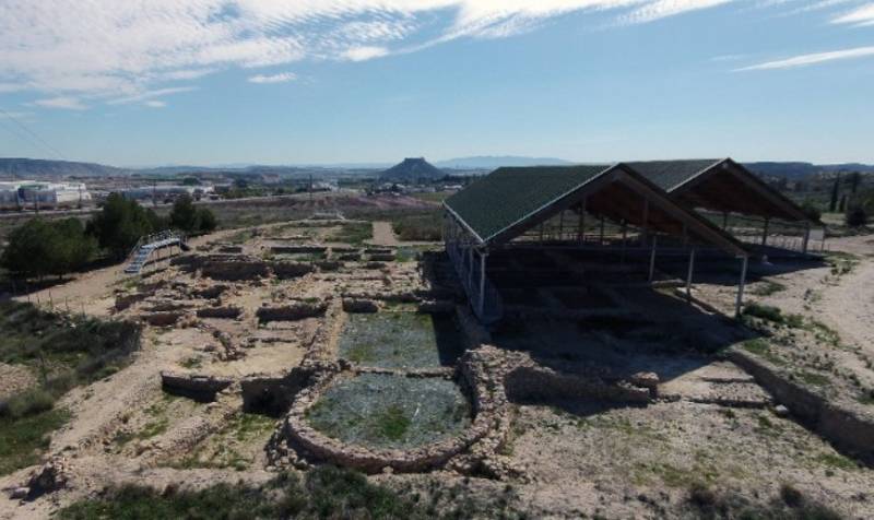 July 19 Guided tour of the Roman villa of Los Villaricos in Mula