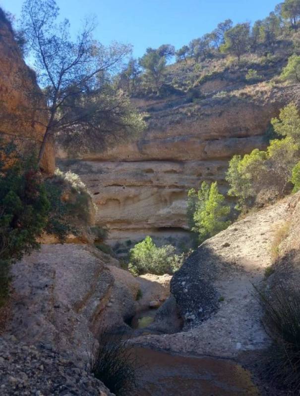 March 1 Free guided walk along the course of the Río Chícamo in Abanilla