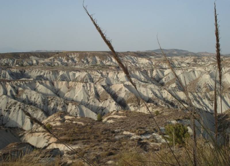 May 23 Free guided tour in Spanish of Gebas in the mountains of Sierra Espuña