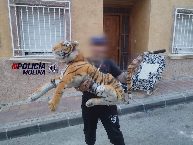 Police called to reports of  a 'tiger' roaming rooftops in Murcia