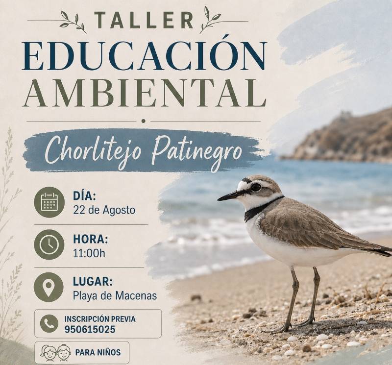 August 22 Free children's nature workshop on Playa de Macenas, Mojácar