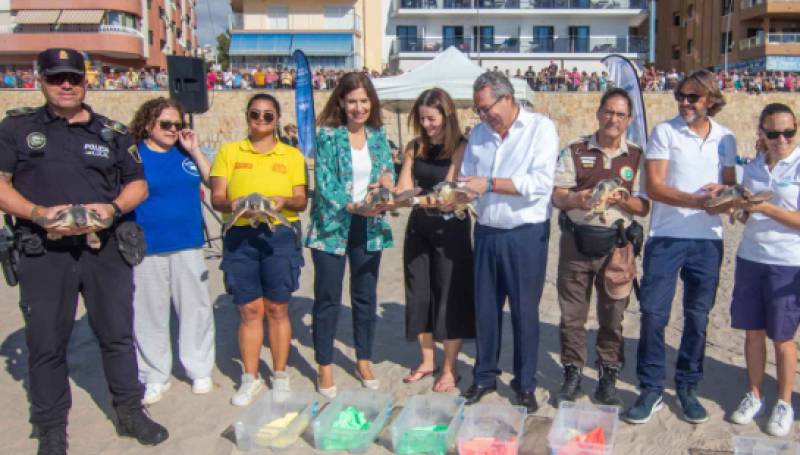 Seven turtles born on Benidorm beach return to the sea after a year of care