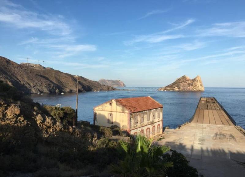 November 21 Free guided walk on the Tres Bahías Blue Trail in Aguilas
