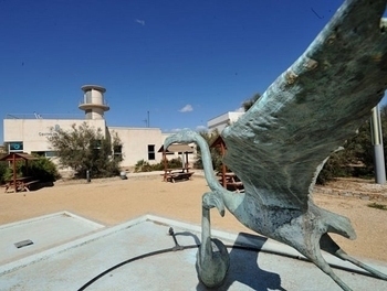 Parque Regional Salinas y Arenales de San Pedro del Pinatar