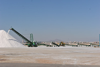 Los Cuarteros, San Pedro del Pinatar