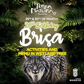 Terra Natura Brisa